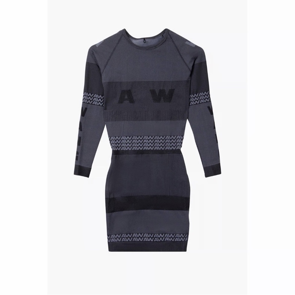 Alexander Wang Gray Patterned Dress